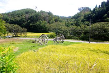 農家民宿かじか村 棚田と水車